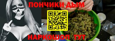 гидропоника Пугачёв