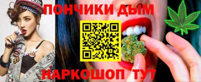 гидропоника Пугачёв