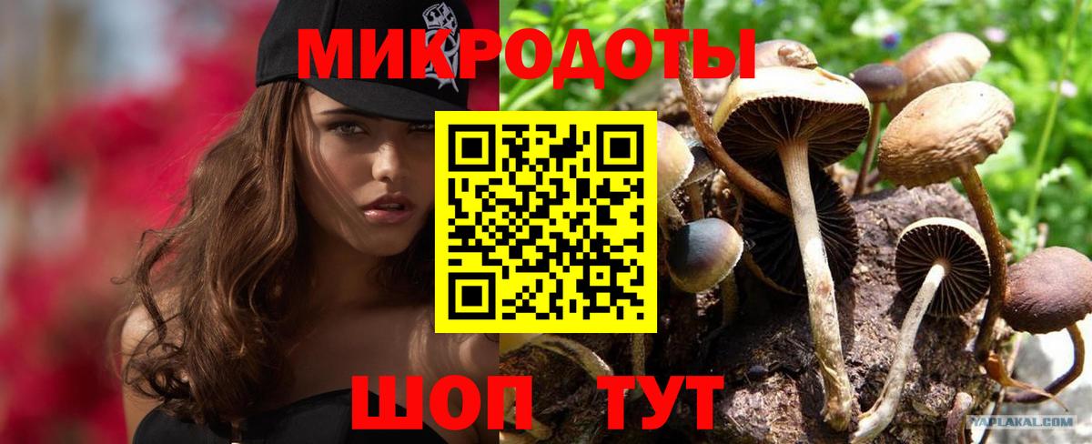 Псилоцибиновые грибы GOLDEN TEACHER Орёл